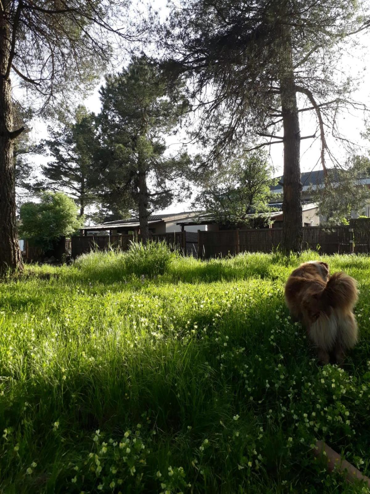Gate Away B&B Units - המקום באל רום Eksteriør billede