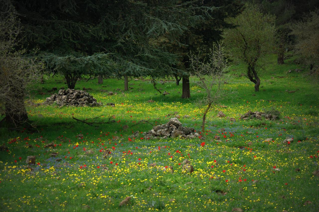 Gate Away B&B Units - המקום באל רום Eksteriør billede