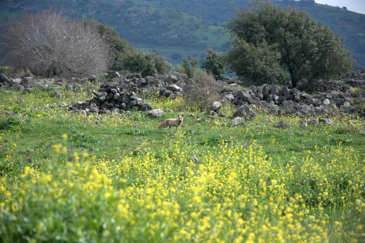 Gate Away B&B Units - המקום באל רום Eksteriør billede